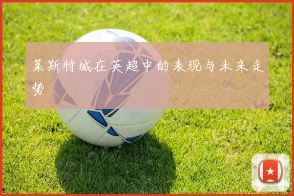 莱斯特城在英超中的表现与未来走势