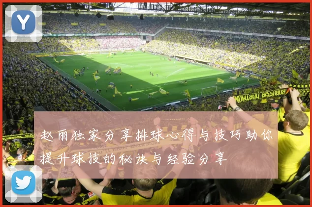 赵丽独家分享排球心得与技巧助你提升球技的秘诀与经验分享
