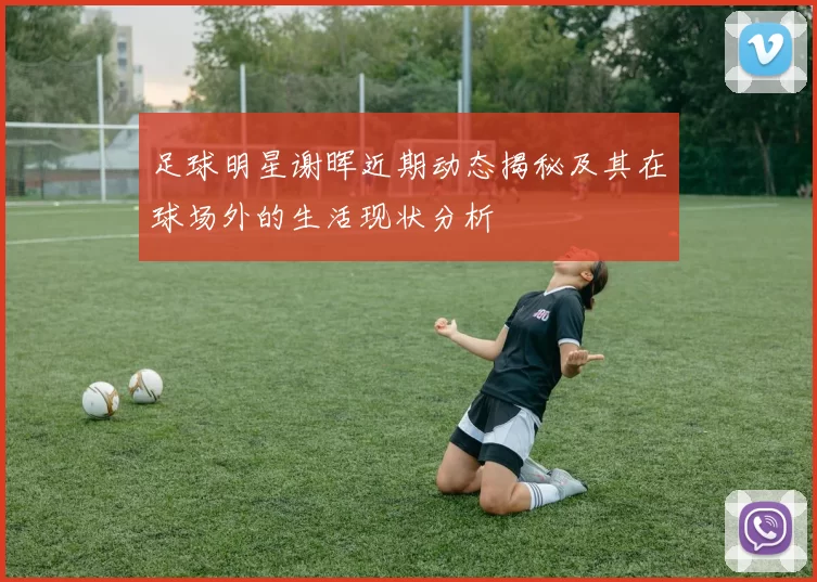 足球明星谢晖近期动态揭秘及其在球场外的生活现状分析