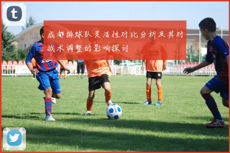成都排球队灵活性对比分析及其对战术调整的影响探讨