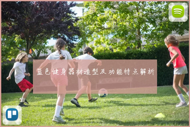 蓝色健身器材造型及功能特点解析