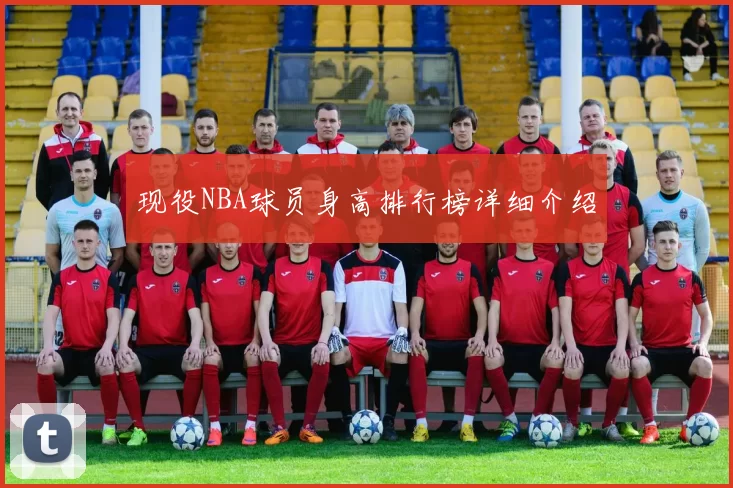 现役NBA球员身高排行榜详细介绍