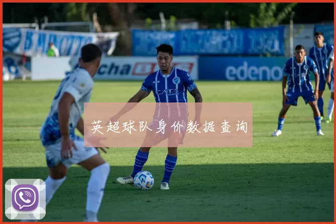 英超球队身价数据查询