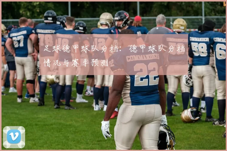 足球德甲球队分档：德甲球队分档情况与赛季预测