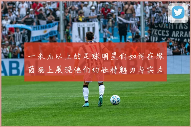 一米九以上的足球明星们如何在绿茵场上展现他们的独特魅力与实力