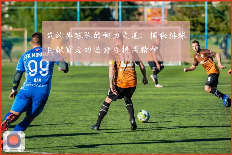 武汉排球队的耐力之道：揭秘排球巨献背后的坚持与拼搏精神