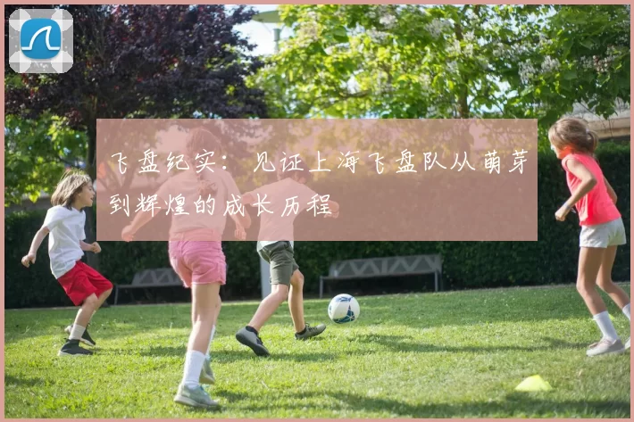 飞盘纪实：见证上海飞盘队从萌芽到辉煌的成长历程