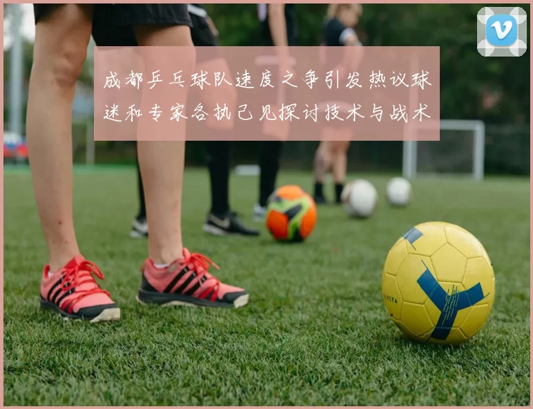成都乒乓球队速度之争引发热议球迷和专家各执己见探讨技术与战术