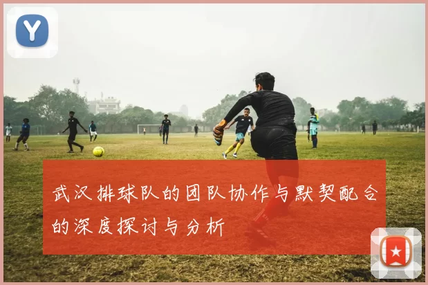 武汉排球队的团队协作与默契配合的深度探讨与分析