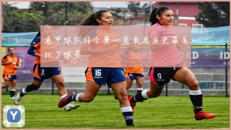意甲球队转会费一览表及历史最高纪录球员