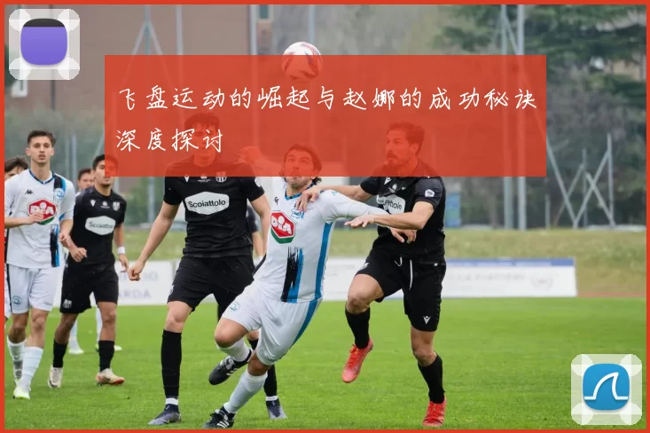 飞盘运动的崛起与赵娜的成功秘诀深度探讨