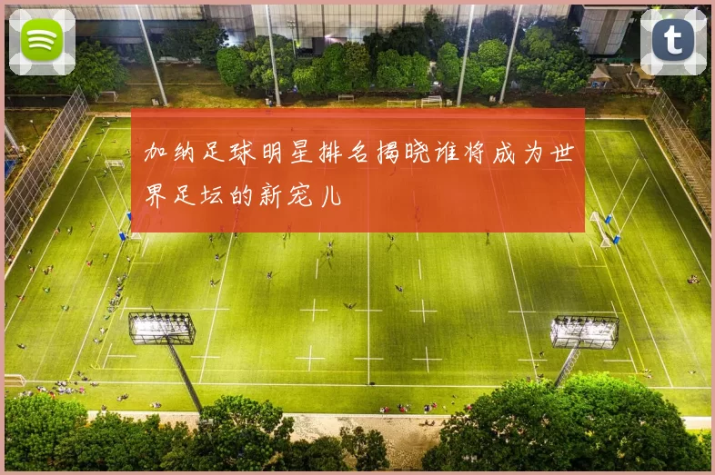 加纳足球明星排名揭晓谁将成为世界足坛的新宠儿