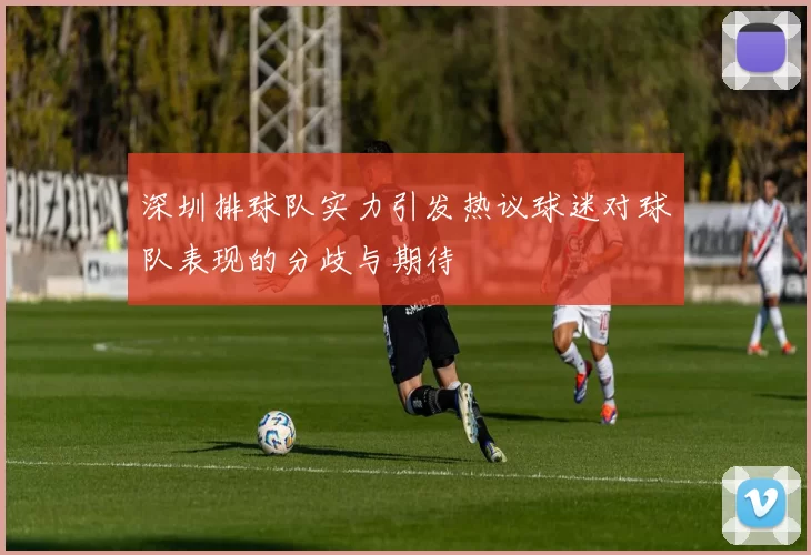 深圳排球队实力引发热议球迷对球队表现的分歧与期待