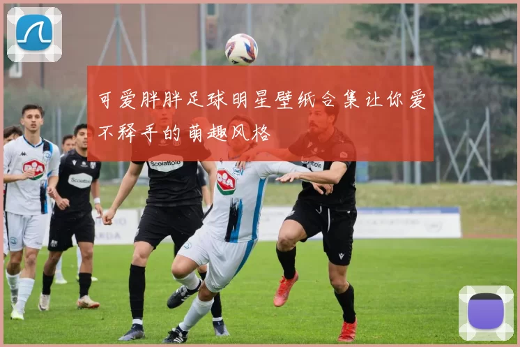可爱胖胖足球明星壁纸合集让你爱不释手的萌趣风格