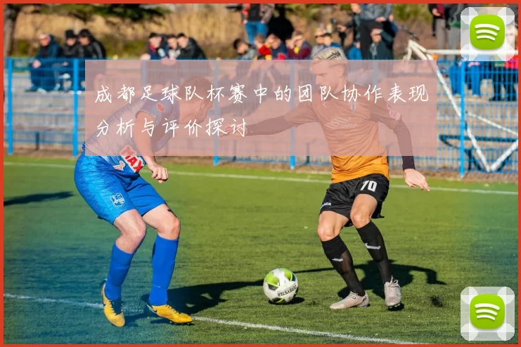 成都足球队杯赛中的团队协作表现分析与评价探讨