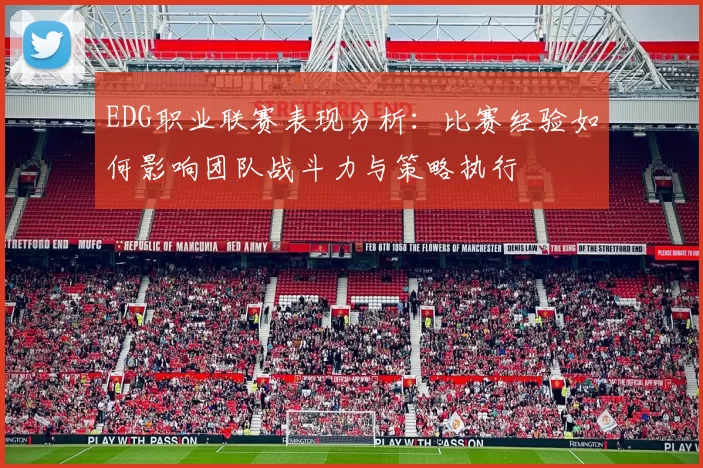 EDG职业联赛表现分析：比赛经验如何影响团队战斗力与策略执行