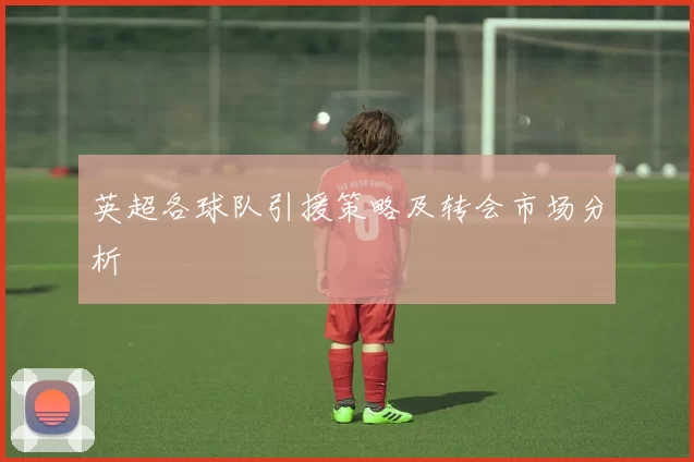英超各球队引援策略及转会市场分析