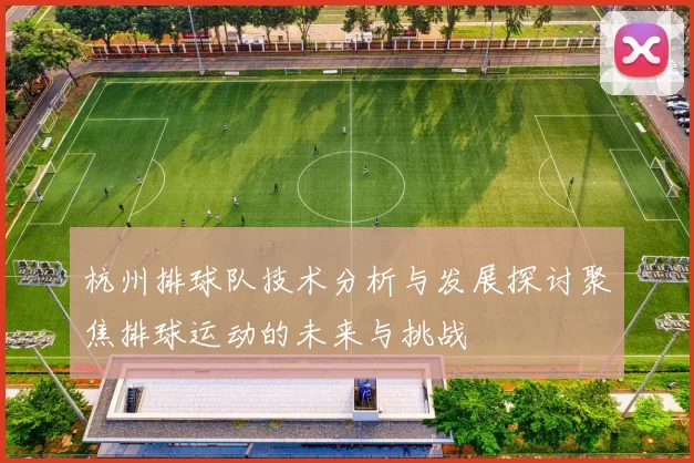 杭州排球队技术分析与发展探讨聚焦排球运动的未来与挑战
