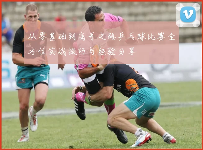 从零基础到高手之路乒乓球比赛全方位实战技巧与经验分享